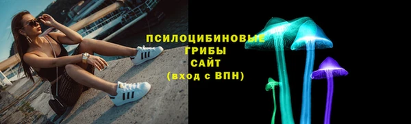 не бодяженный Бердск