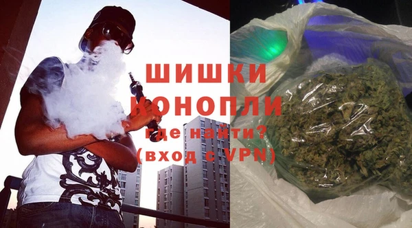 гашик Майский