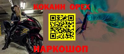 гидропоника Гусев