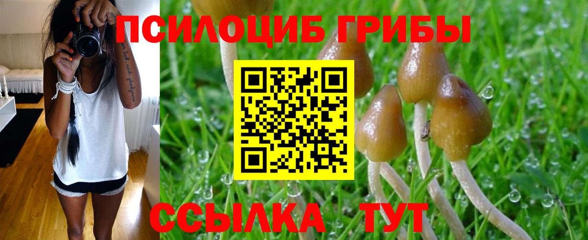 Псилоцибиновые грибы MAGIC MUSHROOMS Краснодар