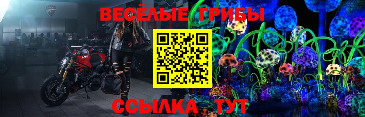 Галлюциногенные грибы Magic Shrooms Краснодар